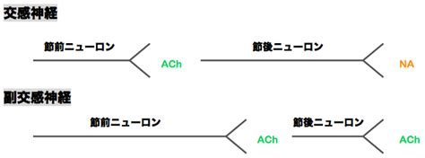 節前節後意思